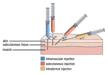 Mesotherapy Courses | Biorevitalization Course | ATSCI