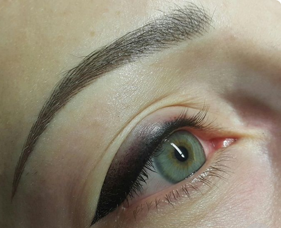 Eyebrows Microblading & Powdered – Lana Shine Permanent Makeup